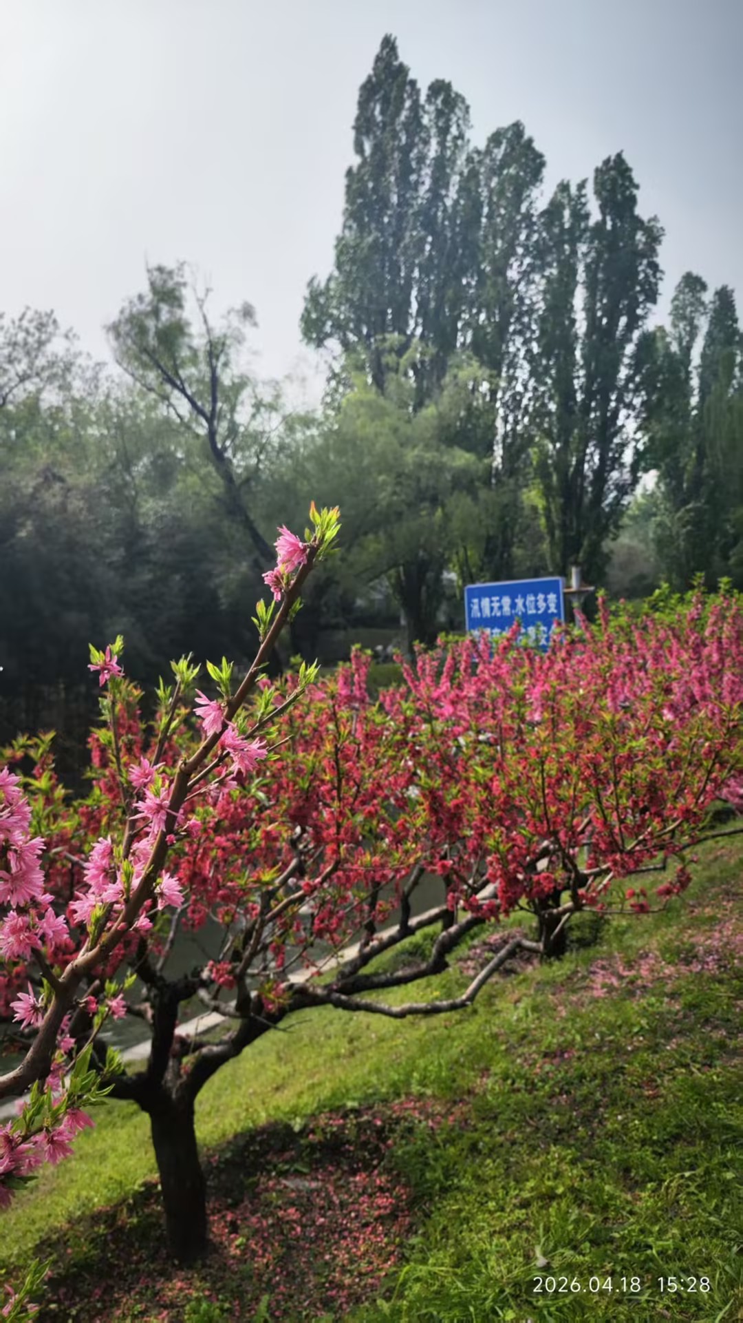 第三次见面照片